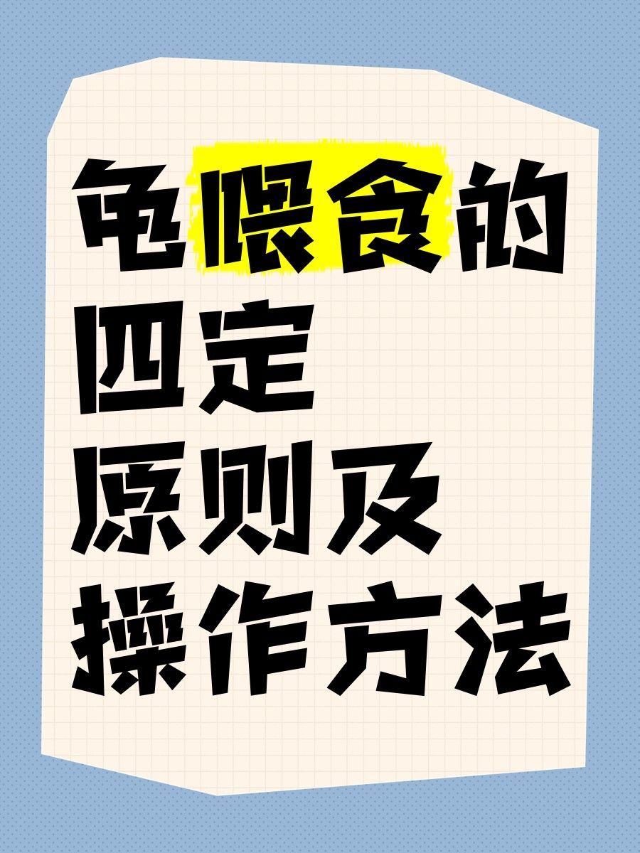玉林龍魚養(yǎng)殖有哪些注意事項？（林龍魚養(yǎng)殖需要注意的事項包括：水質(zhì)管理是關(guān)鍵，需要定期更換水和清潔魚缸）