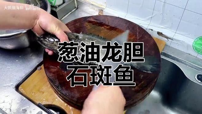 和興龍魚中國旗艦店世紀金源店有哪些魚類：興龍魚中國旗艦店世紀金源店