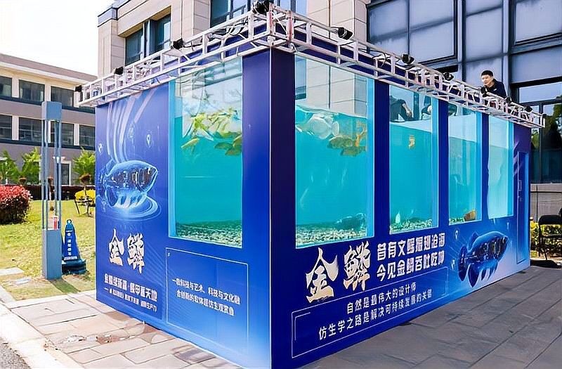 和興龍魚中國旗艦店世紀金源店有哪些魚類：興龍魚中國旗艦店世紀金源店