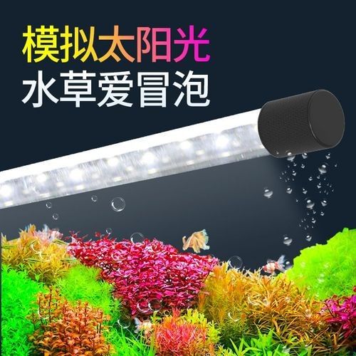 哪種品牌的龍魚(yú)燈口碑最好：魚(yú)缸燈防水燈龍魚(yú)燈品牌口碑排名（oceanstar）