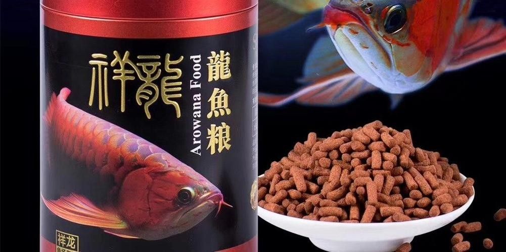 名山哪個水族館龍魚好？祥龍魚場龍魚：名山哪個水族館祥龍魚場