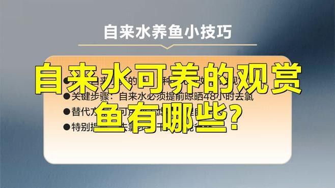 紅龍魚幼苗多久使用一次水質(zhì)穩(wěn)定劑？：紅龍魚幼苗使用水質(zhì)穩(wěn)定劑使用頻率取決于多個因素 紅龍魚幼苗多久使用一次水質(zhì)穩(wěn)定劑？：紅龍魚幼苗使用水質(zhì)穩(wěn)定劑使用頻率取決于多個因素 龍魚百科