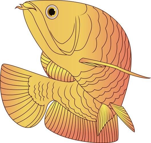 有沒有飛龍魚卡通手繪圖片？：飛龍魚卡通手繪