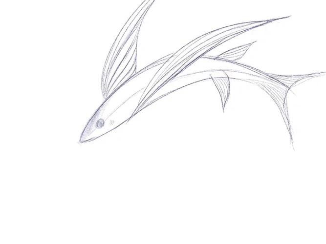 有沒有飛龍魚卡通手繪圖片？：飛龍魚卡通手繪
