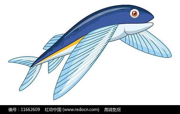 有沒有飛龍魚卡通手繪圖片？：飛龍魚卡通手繪