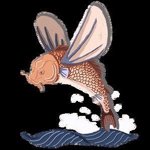 有沒有飛龍魚卡通手繪圖片？：飛龍魚卡通手繪