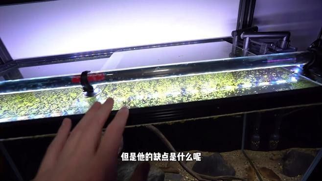 雷龍魚缸蓋子材質(zhì)有哪些選擇：雷龍魚缸蓋子的材質(zhì)選擇對(duì)于維護(hù)魚缸的美觀和功能性至關(guān)重要