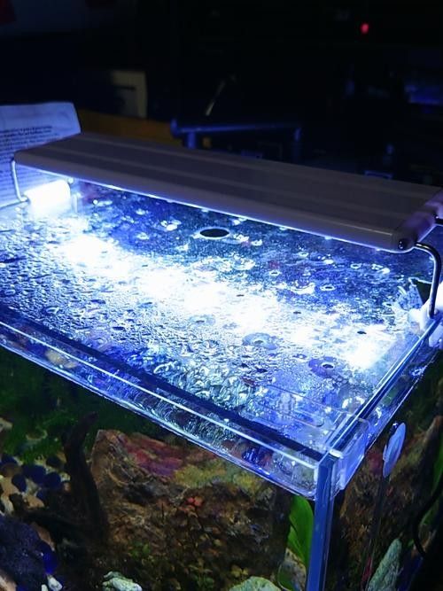 雷龍魚缸蓋子材質(zhì)有哪些選擇：雷龍魚缸蓋子的材質(zhì)選擇對(duì)于維護(hù)魚缸的美觀和功能性至關(guān)重要