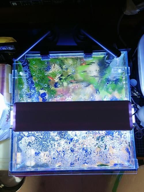 雷龍魚缸蓋子材質(zhì)有哪些選擇：雷龍魚缸蓋子的材質(zhì)選擇對(duì)于維護(hù)魚缸的美觀和功能性至關(guān)重要