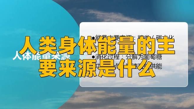 哪種能量來源更有效？：人體能量的主要來源
