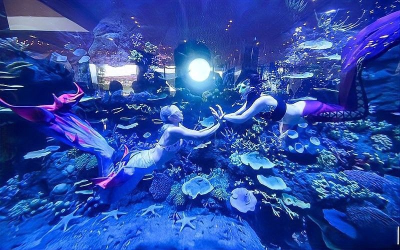 哪種材質的魚缸價格最高：亞克力魚缸和玻璃魚缸哪個更好