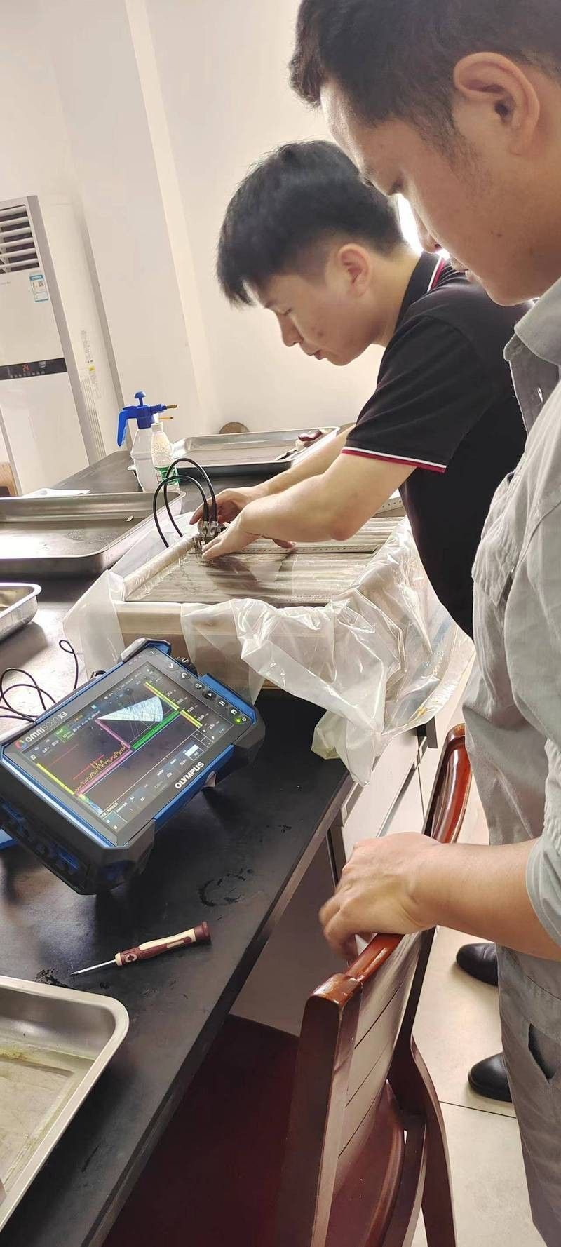 如何判斷古典藍過背的純度：判斷古典藍過背的純度需要從以下幾個方面進行綜合分析
