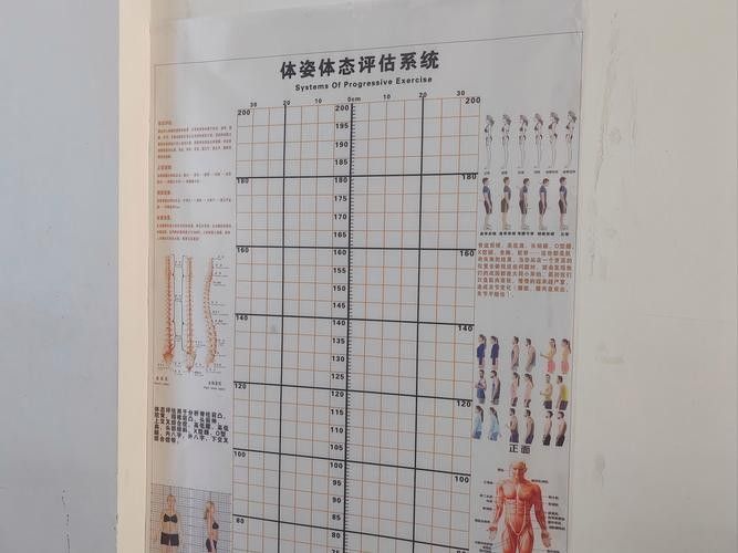 如何判斷古典藍過背的純度：判斷古典藍過背的純度需要從以下幾個方面進行綜合分析