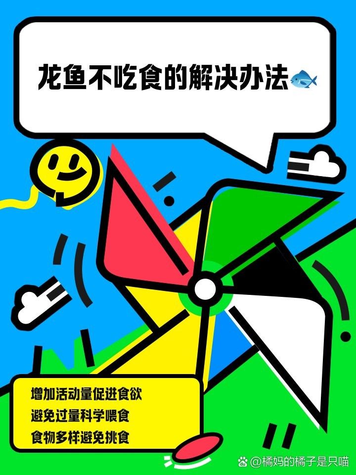 龍魚加鹽后需要停食嗎：龍魚加鹽后是否需要停食，龍魚加鹽后是否需要停食的問題 龍魚加鹽后需要停食嗎：龍魚加鹽后是否需要停食，龍魚加鹽后是否需要停食的問題 龍魚百科 第4張