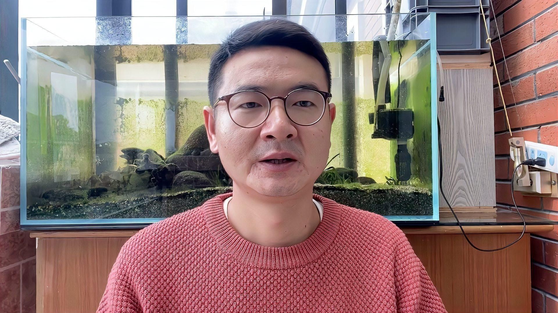 如何設置魚缸以減少沖突？：設置魚缸以減少沖突時