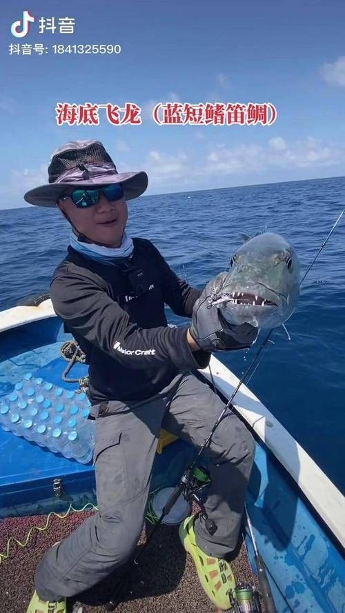給我高清的海底飛龍魚壁紙：深海中的奇幻之旅膽double天的海底飛龍魚壁紙