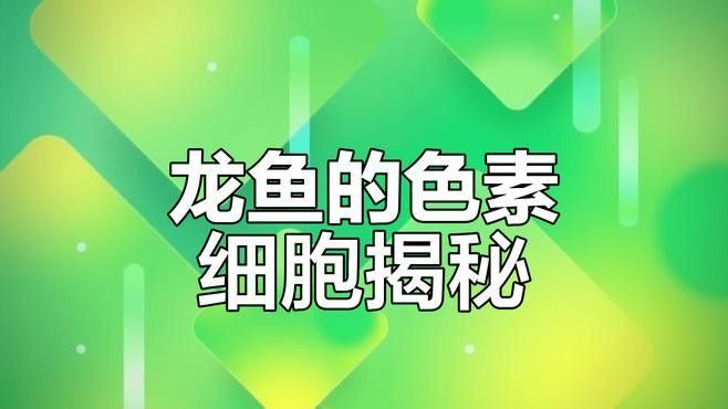 龍魚顏色變黑多久會恢復：龍魚顏色變黑多久會恢復，龍魚顏色變黑的原因及恢復時間 龍魚顏色變黑多久會恢復：龍魚顏色變黑多久會恢復，龍魚顏色變黑的原因及恢復時間 龍魚百科 第3張