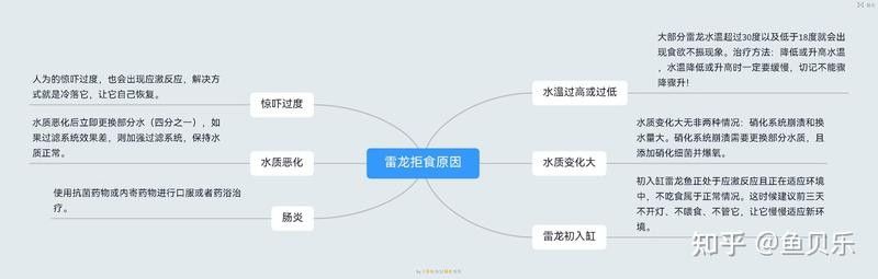 如何判斷雷龍魚是否適應混養環境：如何判斷雷龍魚是否適合與其他觀賞魚混養