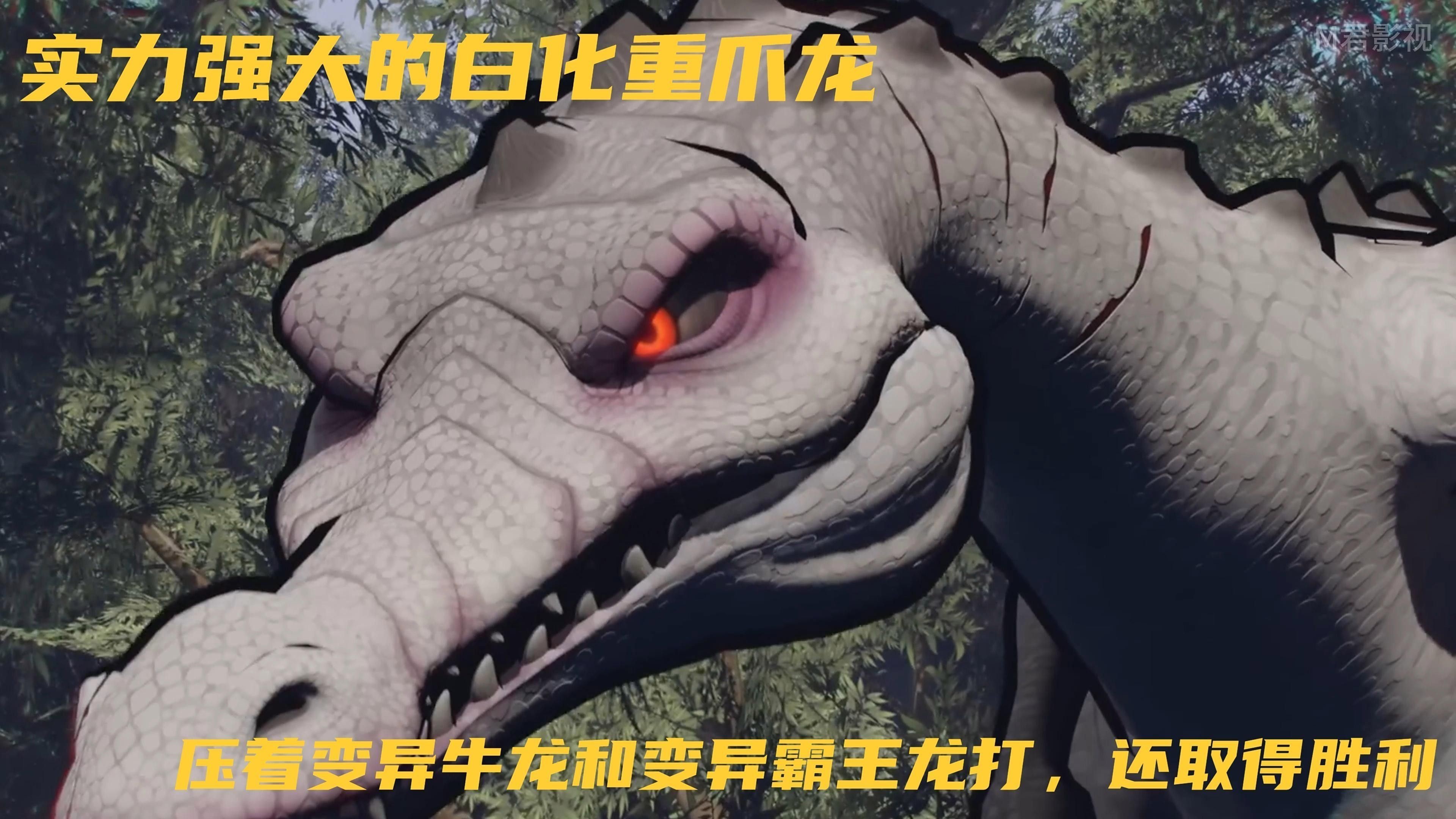 紅眼白化恐龍魚有哪些飼養難點：眼白化恐龍魚飼養難點主要體現在以下幾個方面