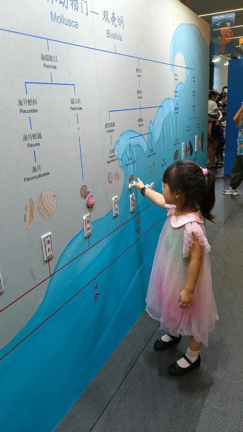 深圳分館的親子DIY活動如何預約？：分館的親子diy活動預約流程如下：深圳分館親子diy活動預約流程