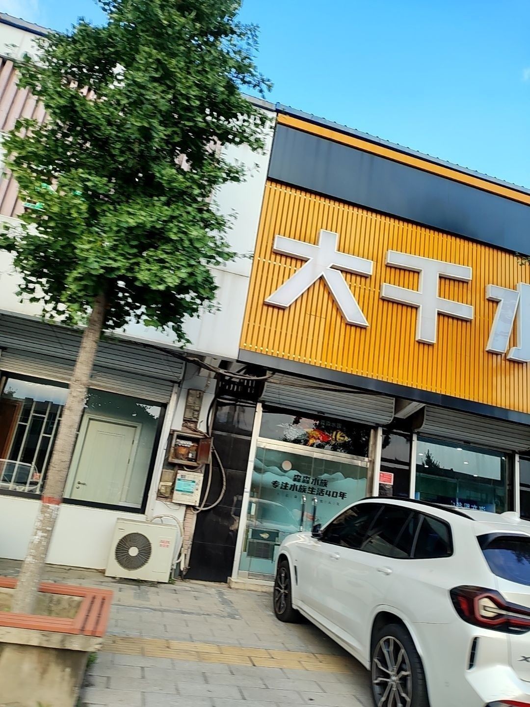 高碑店哪個(gè)水族館龍魚(yú)好？祥龍魚(yú)場(chǎng)龍魚(yú)：河北保定高碑店祥龍魚(yú)場(chǎng)哪個(gè)水族館口碑最好