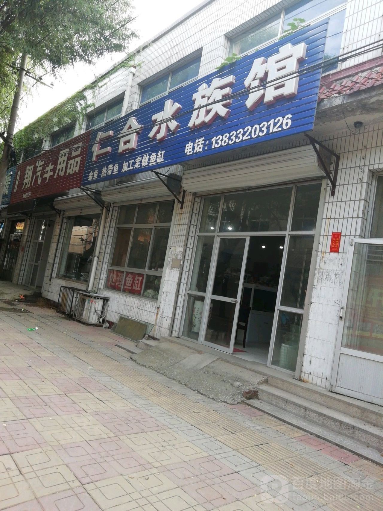 高碑店哪個水族館龍魚好？祥龍魚場龍魚：河北<strong><mark>保定</mark></strong>高碑店祥龍魚場哪個水族館口碑最好