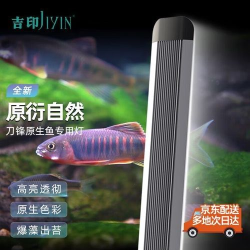 吉印魚缸燈哪個(gè)系列最好？：印魚缸燈系列中最佳選擇取決于您的具體需求和預(yù)算