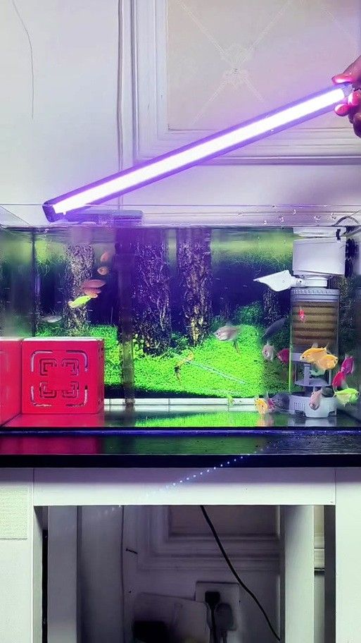 吉印魚缸燈哪個(gè)系列最好？：印魚缸燈系列中最佳選擇取決于您的具體需求和預(yù)算