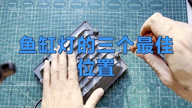 金龍魚魚缸燈的最佳安裝位置：金龍魚魚缸燈安裝位置 金龍魚魚缸燈的最佳安裝位置：金龍魚魚缸燈安裝位置 龍魚百科 第1張