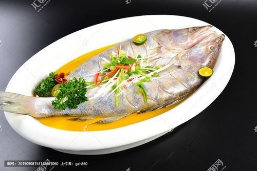 給我一些天山雪龍魚的做法圖片：天山雪龍魚怎么做好吃？ 給我一些天山雪龍魚的做法圖片：天山雪龍魚怎么做好吃？ 龍魚百科 第31張