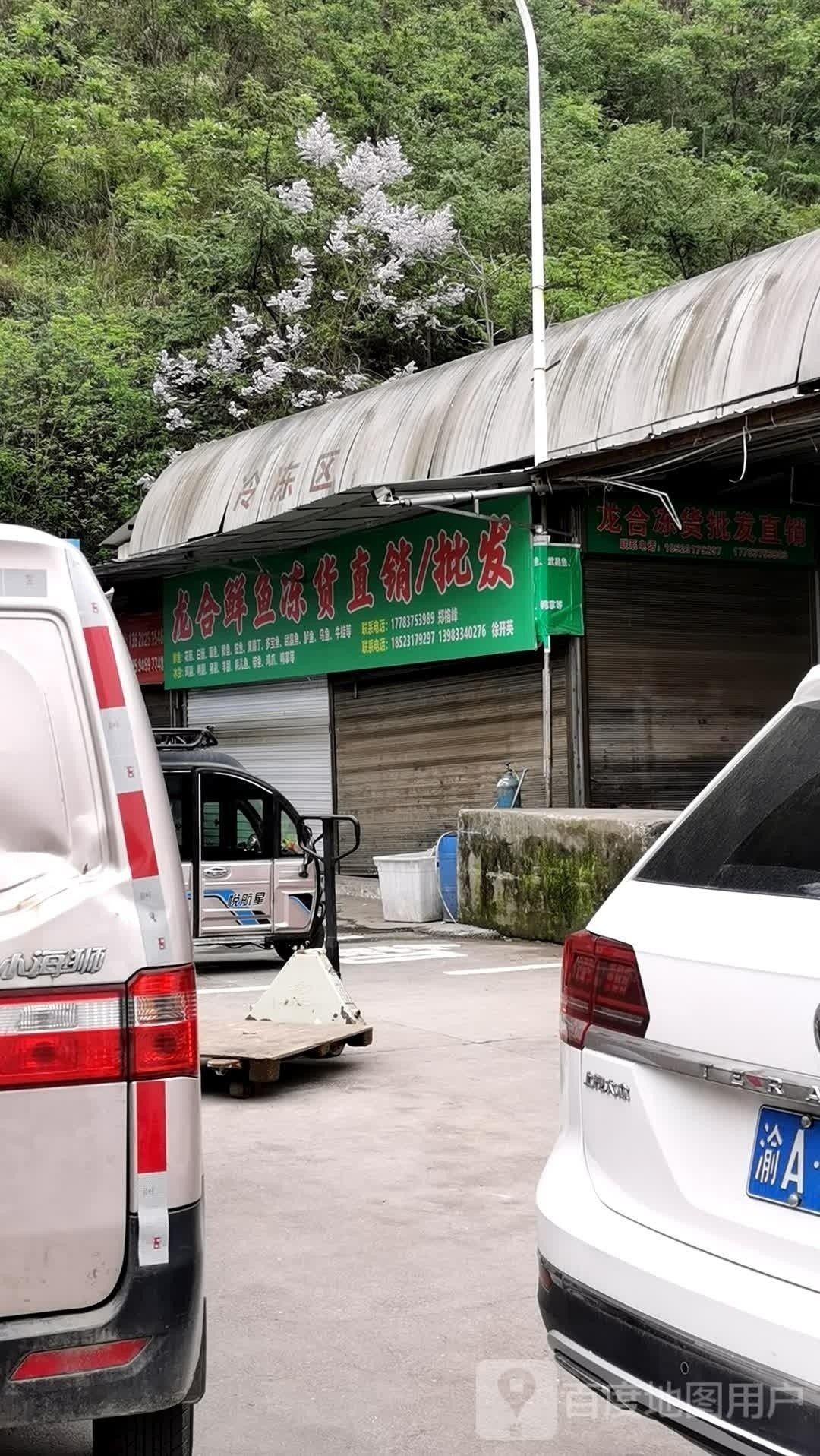 如何聯(lián)系重慶的龍魚批發(fā)商：如何聯(lián)系重慶的龍魚批發(fā)商，在尋找高質(zhì)量的龍魚批發(fā)商時(shí)