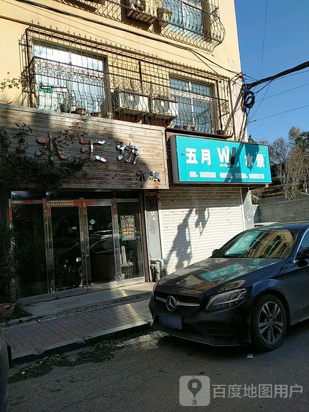 海城哪個水族館龍魚好？祥龍魚場龍魚：海城祥龍魚場龍魚品種和專業的養殖技術和專業的養殖技術