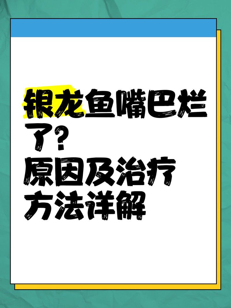 龍魚嘴巴爛了多久會好：龍魚嘴巴爛了多久會好取決于多個因素，龍魚嘴巴爛了怎么辦 龍魚嘴巴爛了多久會好：龍魚嘴巴爛了多久會好取決于多個因素，龍魚嘴巴爛了怎么辦 龍魚百科 第2張