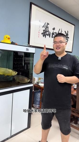 有沒有福龍魚繁殖的圖片？：福龍魚的繁殖條件、配對方法、產卵過程以及幼魚的孵化與護理