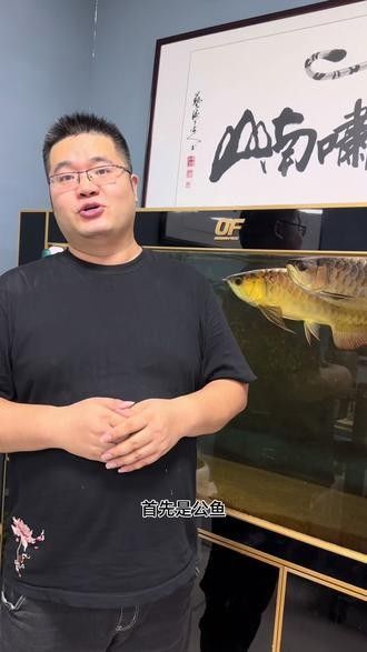 有沒有福龍魚繁殖的圖片？：福龍魚的繁殖條件、配對方法、產卵過程以及幼魚的孵化與護理