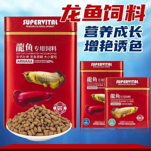 紅色雷龍魚用什么飼料最好：關(guān)于紅色雷龍魚飼料選擇的最佳實(shí)踐