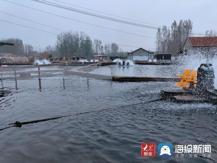 臨沂還有哪些龍魚養(yǎng)殖場(chǎng)？：臨沂市擁有多個(gè)龍魚養(yǎng)殖場(chǎng)主要分布在該市的不同區(qū)域