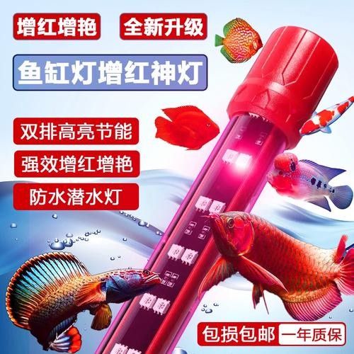 紅龍魚(yú)照明燈具的價(jià)格范圍是多少：紅龍魚(yú)照明燈具的價(jià)格范圍