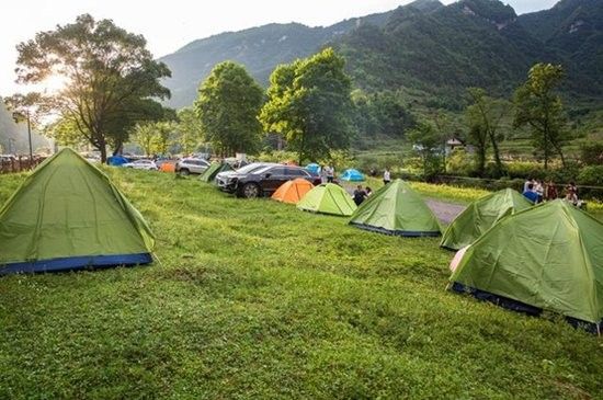 基地的盈利情況如何？：基地的盈利能力取決于哪些因素 基地的盈利情況如何？：基地的盈利能力取決于哪些因素 龍魚(yú)百科 第1張
