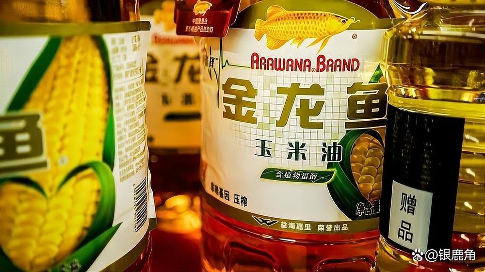 金龍魚批發有哪些渠道：金龍魚批發渠道有哪些？