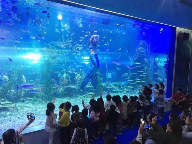 邗江哪個(gè)水族館龍魚好？祥龍魚場龍魚：江蘇揚(yáng)州市邗江區(qū)“祥龍魚場”成為當(dāng)?shù)刂乃屦^之一