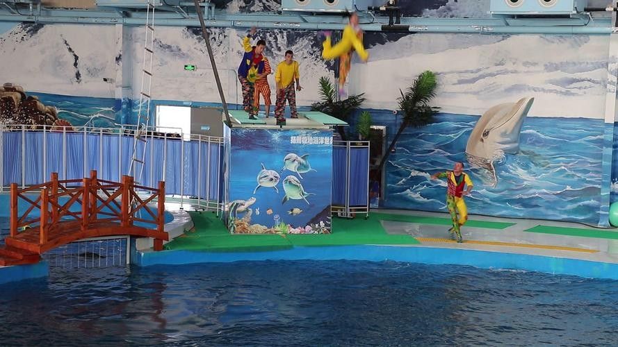 邗江哪個(gè)水族館龍魚好？祥龍魚場龍魚：江蘇揚(yáng)州市邗江區(qū)“祥龍魚場”成為當(dāng)?shù)刂乃屦^之一