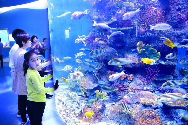 邗江哪個(gè)水族館龍魚好？祥龍魚場龍魚：江蘇揚(yáng)州市邗江區(qū)“祥龍魚場”成為當(dāng)?shù)刂乃屦^之一