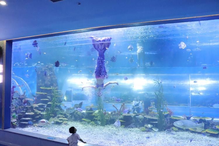 邗江哪個(gè)水族館龍魚好？祥龍魚場龍魚：江蘇揚(yáng)州市邗江區(qū)“祥龍魚場”成為當(dāng)?shù)刂乃屦^之一