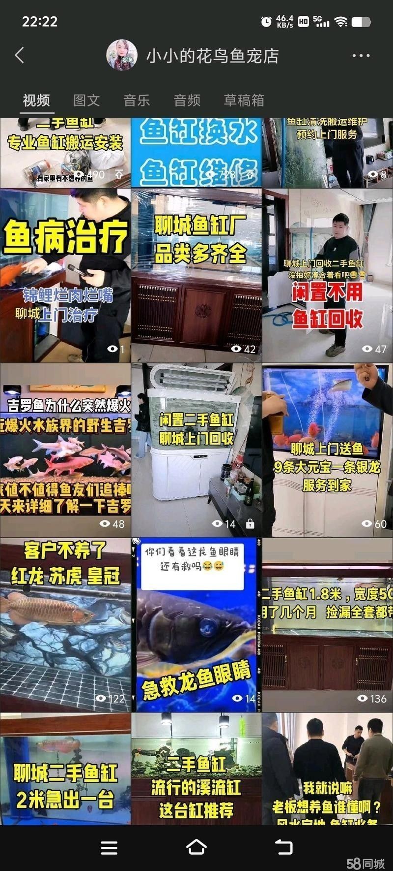 聊城龍魚市場(chǎng)有哪些知名商家：山東省內(nèi)知名水族交易市場(chǎng)聊城龍魚市場(chǎng)的具體地址