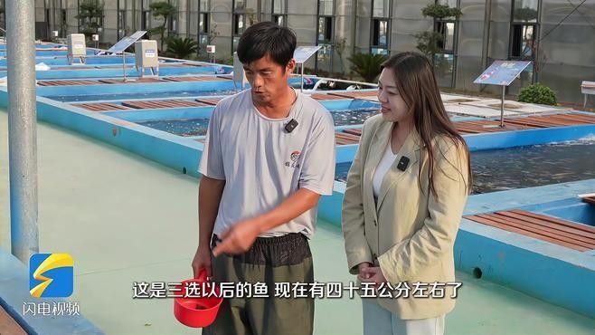 聊城龍魚市場(chǎng)有哪些知名商家：山東省內(nèi)知名水族交易市場(chǎng)聊城龍魚市場(chǎng)的具體地址
