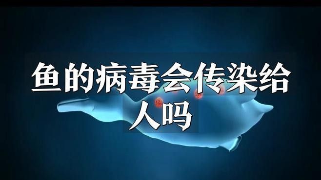 紅龍魚縮鰭會(huì)傳染嗎：紅龍魚縮鰭會(huì)傳染嗎？