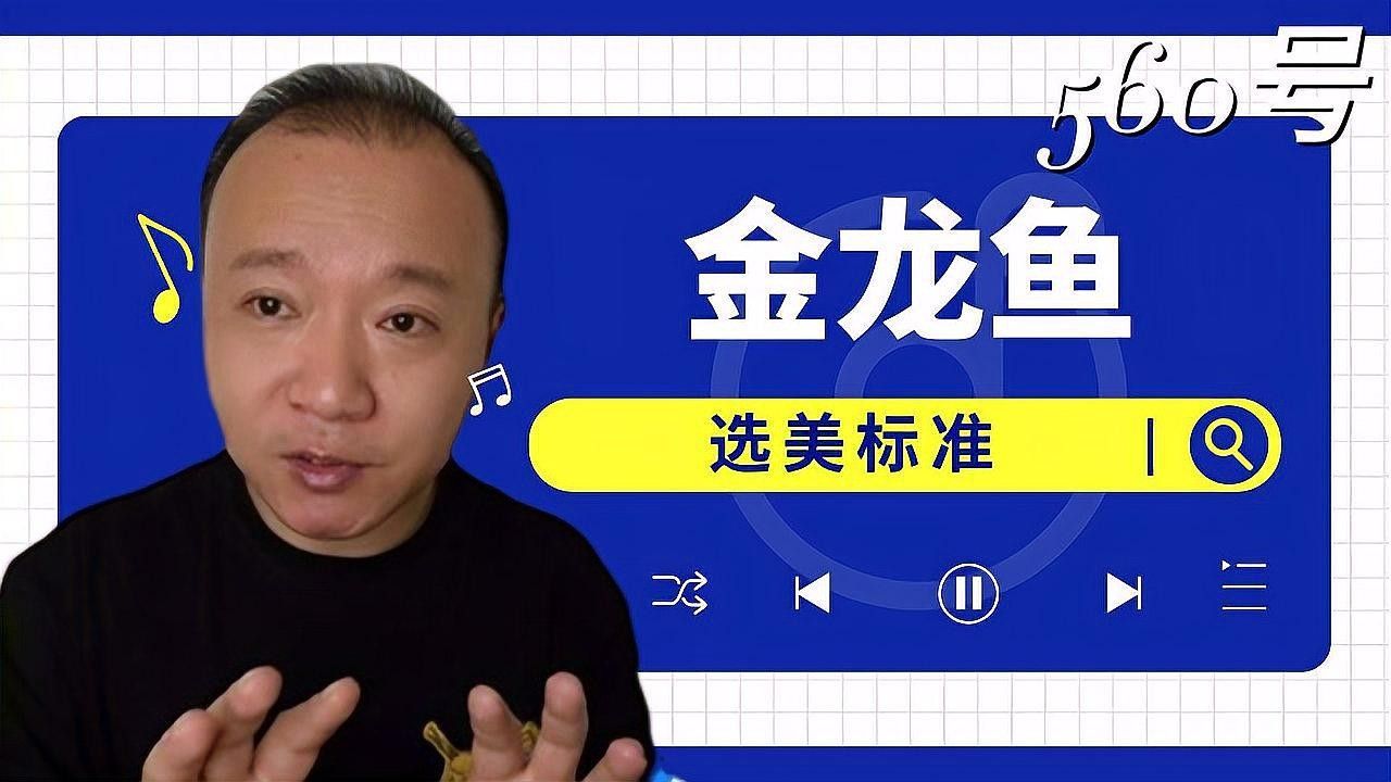 如何準備龍魚參加比賽？：長城杯龍魚大賽評判標準解讀龍魚比賽有哪些評分標準