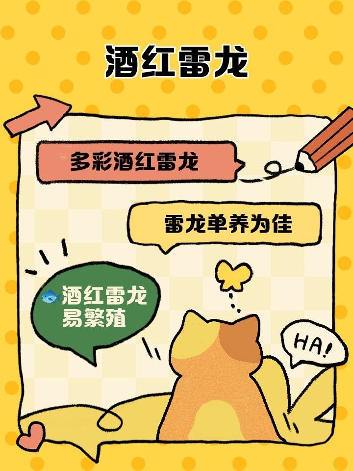 酒紅雷龍魚繁殖周期是多久：小罡日常vlog，酒紅雷龍繁殖：從含卵到魚苗起飛