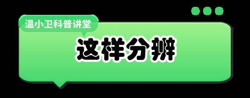感染癥狀有哪些：感染和病毒感染的三個階段是什么樣子的醫師三甲感染是什么癥狀 感染癥狀有哪些：感染和病毒感染的三個階段是什么樣子的醫師三甲感染是什么癥狀 龍魚百科 第2張